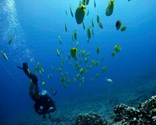 ������������6�󶥼�Ǳˮʤ��